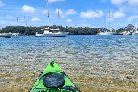 Kayak Tour In Adelaide Dolphin Sanctuary - Australia Accommodation 4