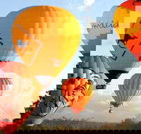 Natural Bridge  Springbrook Waterfalls Tour  Hot Air Balloon with Breakfast - Australia Accommodation