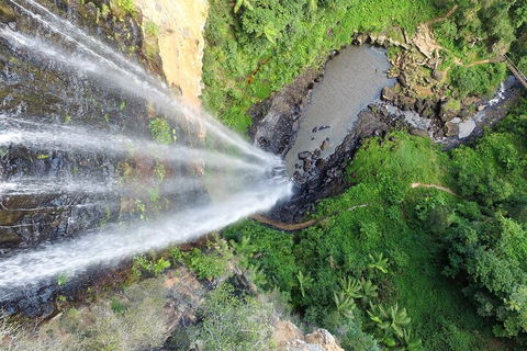 Natural Bridge & Springbrook Waterfalls Tour + Hot Air Balloon With Breakfast - Australia Accommodation 1