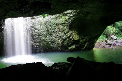 Natural Bridge & Springbrook Waterfalls Tour + Hot Air Balloon With Breakfast - Australia Accommodation 2