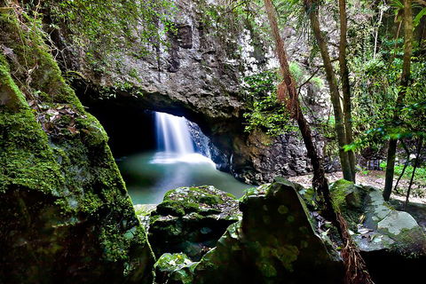 Natural Bridge & Springbrook Waterfalls Tour + Hot Air Balloon With Breakfast - Australia Accommodation 4