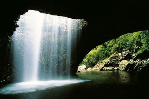 Natural Bridge & Springbrook Waterfalls Tour - Australia Accommodation 0