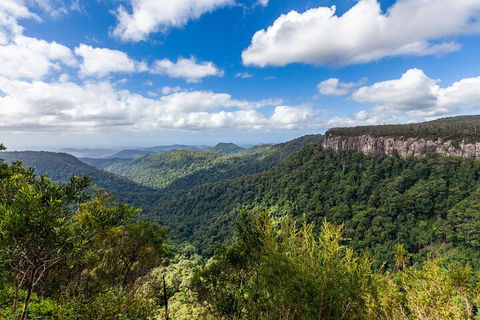 Natural Bridge & Springbrook Waterfalls Tour - Australia Accommodation 1