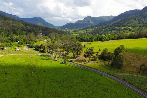 Natural Bridge & Springbrook Waterfalls Tour - Australia Accommodation 2