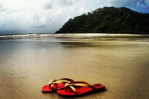 Daintree And Cape Tribulation Full Day Guided Tour - Australia Accommodation 4