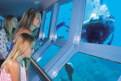 Quicksilver Outer Great Barrier Reef Snorkel Cruise From Port Douglas - Australia Accommodation 1