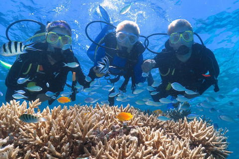 Quicksilver Outer Great Barrier Reef Snorkel Cruise From Port Douglas - Australia Accommodation 4