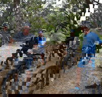 Fully guided E-Mountain Bike Tour on the beautiful Mornington Peninsula. - Australia Accommodation