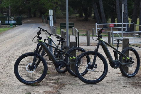 Fully Guided E-Mountain Bike Tour On The Beautiful Mornington Peninsula. - Australia Accommodation 2