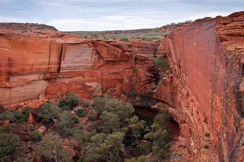 Uluru, Kata Tjuta And Kings Canyon Camping Safari From Ayers Rock - Australia Accommodation 1