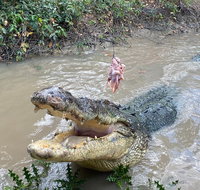 Top End Waterfalls and Wetlands - Australia Accommodation