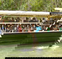 Hartley's Crocodile Adventure Half-Day Tour - Australia Accommodation