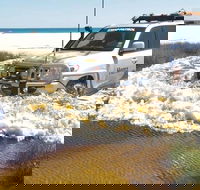 Full-Day Moreton Island 4x4 Sightseeing Tour - Australia Accommodation