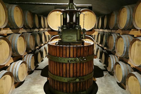 Margaret River Impression Day Tour From Perth - Australia Accommodation 1