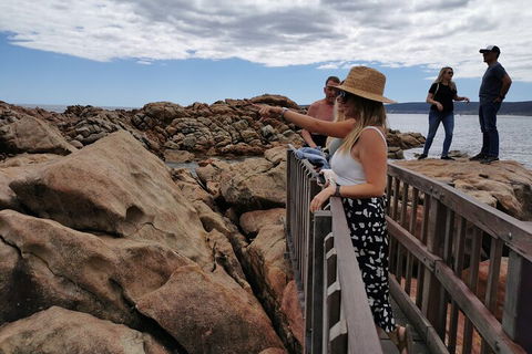 Margaret River Impression Day Tour From Perth - Australia Accommodation 4