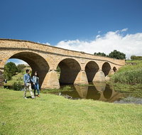 Bonorong Wildlife Park and Richmond Afternoon Tour from Hobart - Australia Accommodation