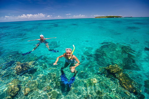 Green Island Discovery Including Glass Bottom Boat Tour Departing Cairns - Australia Accommodation 2
