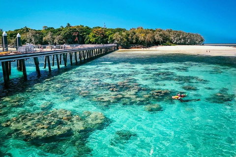 Green Island Discovery Including Glass Bottom Boat Tour Departing Cairns - Australia Accommodation 4