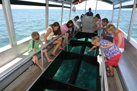 Green Island Discovery Including Glass Bottom Boat Tour Departing Cairns - Australia Accommodation 5