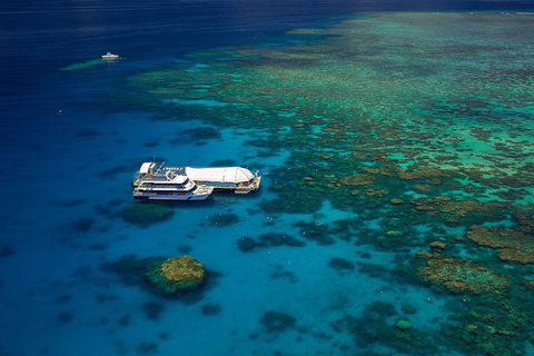 Great Barrier Reef Adventure From Cairns - Australia Accommodation 4