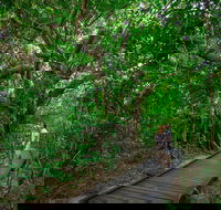 Green Island Eco Adventure from Cairns - Australia Accommodation