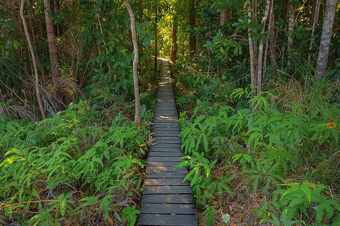 One Day Litchfield Park Adventures - Australia Accommodation 4