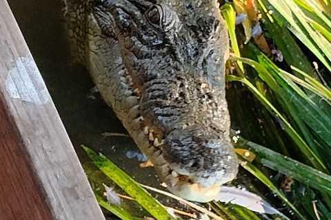 Litchfield Park Adventures And Jumping Crocodile Cruise + Butterfly Farm - Australia Accommodation 1