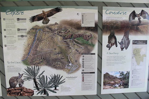Jumping Crocodile Cruise And Berry Springs Nature Park - Australia Accommodation 2