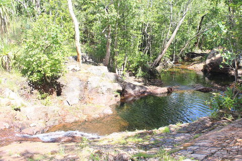 Jumping Crocodile Cruise And Berry Springs Nature Park - Australia Accommodation 3