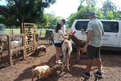 Jumping Crocodile Cruise And Berry Springs Nature Park - Australia Accommodation 4