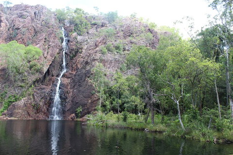 Jumping Crocodile Cruise And Berry Springs Nature Park - Australia Accommodation 5