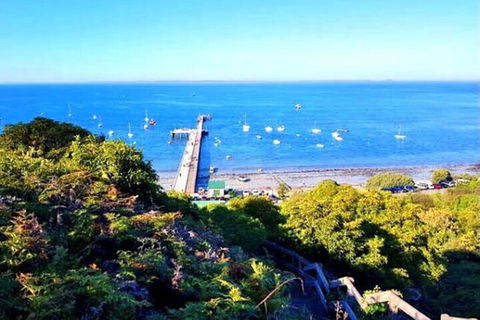 Mornington Peninsula Sightseeing Tour For 2-6 Guests. - Australia Accommodation 1