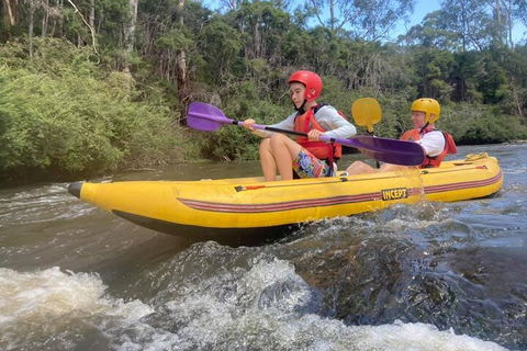 Yarra River Half-Day Rafting Experience - Australia Accommodation 1