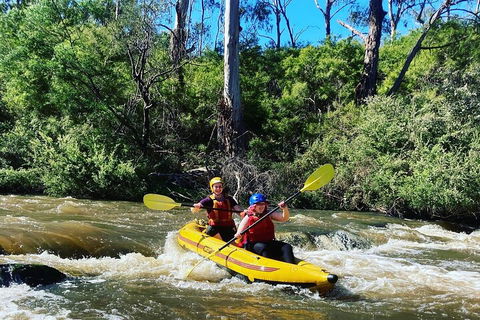 Yarra River Half-Day Rafting Experience - Australia Accommodation 2