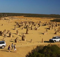 1-Day Pinnacles and Yanchep Tour from Perth including Fish and Chips Lunch - Australia Accommodation