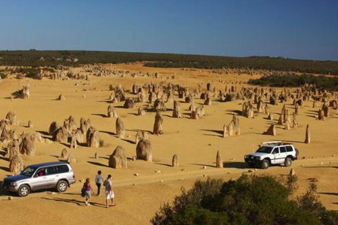 1-Day Pinnacles And Yanchep Tour From Perth Including Fish And Chips Lunch - Australia Accommodation 0