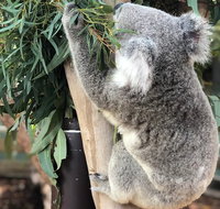 Private Blue Mountains and Wildlife Park Tour from Sydney with Barbecue Lunch - Australia Accommodation