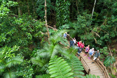 2 Day Daintree Rainforest, Cape Tribulation And Outback Chillagoe Tour - Australia Accommodation 3