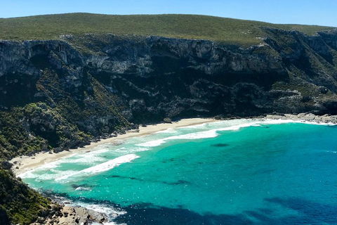 Kangaroo Island Scenic Trail Tour - Australia Accommodation 4