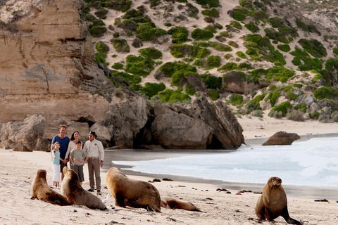 Kangaroo Island Scenic Trail Tour - Australia Accommodation 5