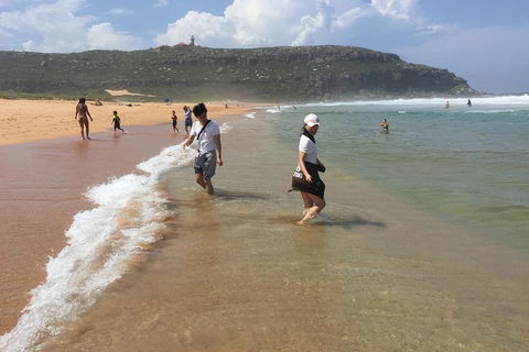Small-Group Sydney's Northern Beaches And Ku-ring-gai National Park Bus Tour - Australia Accommodation 5