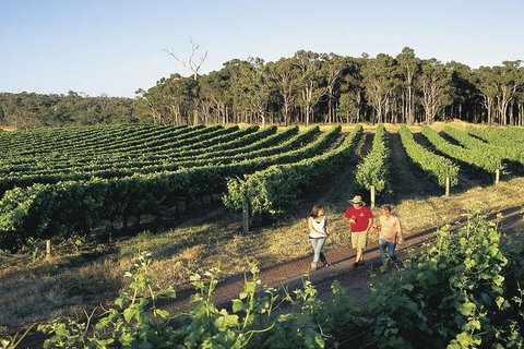 2-Day Margaret River Wine Experience From Perth - Australia Accommodation 3