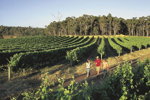 Margaret River, Caves, Wine And Cape Leeuwin Lighthouse Tour From Perth - Australia Accommodation 1
