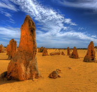 Pinnacles Desert  New Norcia Day Tour from Perth - Australia Accommodation