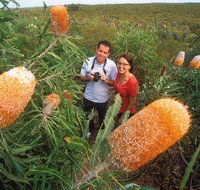 Best of Perth Wildflower Season Day Trip - Australia Accommodation