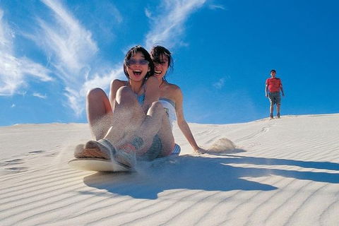 Full Day Pinnacle Desert Explorer From Perth Including Hillarys And Lancelin Sandboarding - Australia Accommodation 1