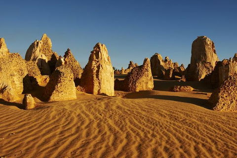 Full Day Pinnacle Desert Explorer From Perth Including Hillarys And Lancelin Sandboarding - Australia Accommodation 3