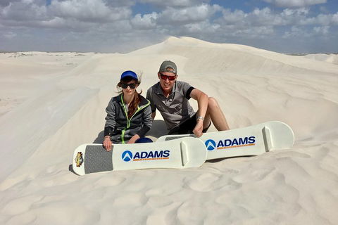 Full Day Pinnacle Desert Explorer From Perth Including Hillarys And Lancelin Sandboarding - Australia Accommodation 4