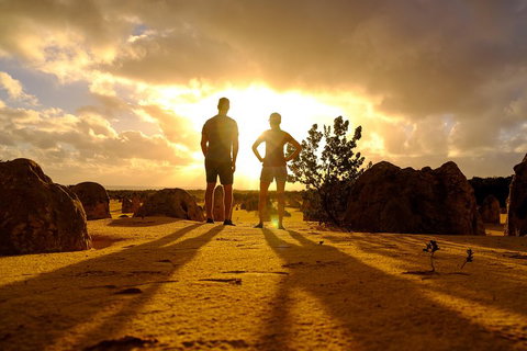 Pinnacle Desert Sunset And Night-time Stargazing Tour From Perth - Australia Accommodation 1
