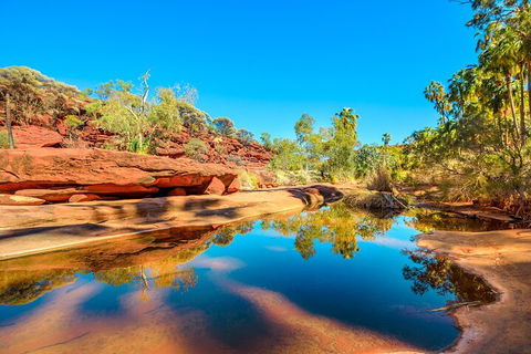 7-Day Guided Tour Of Alice Springs With Accommodation Included - Australia Accommodation 1